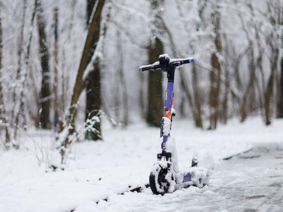 Объезжаем деревья согласно ПДД: зачем в лесах расставят дорожные знаки