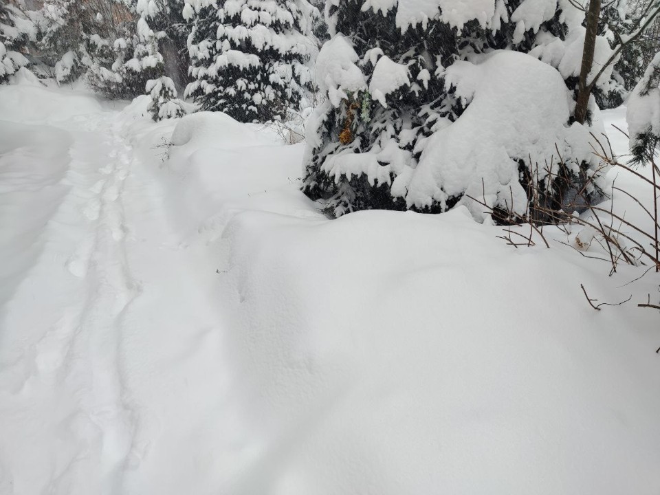 Концерт в парке Киово и мастер-класс по росписи пряников перенесли из-за снегопада