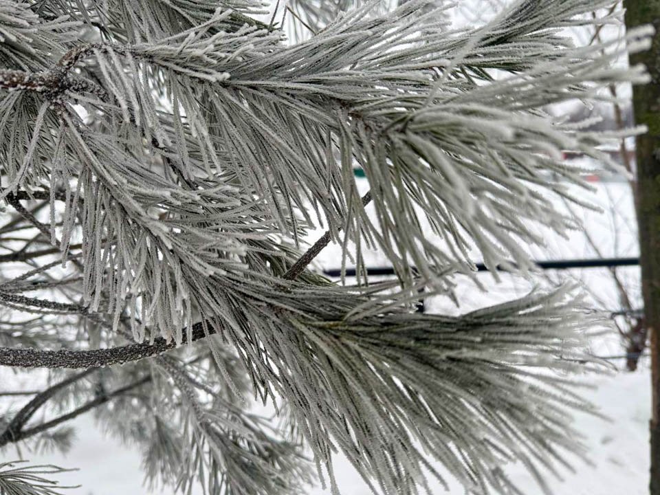 Филиппов день: что важно сделать 22 января, чтобы год сложился удачно