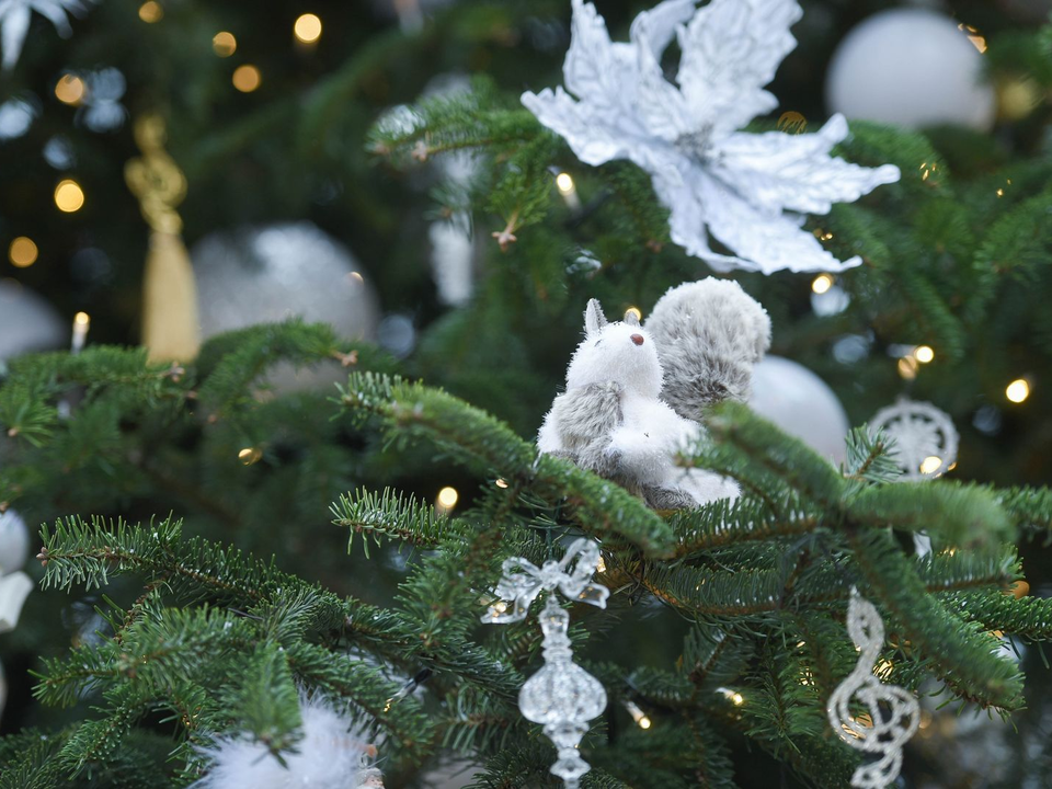 Холодное Рождество и ледяные выходные: когда в Подмосковье ударят 20-градусные морозы