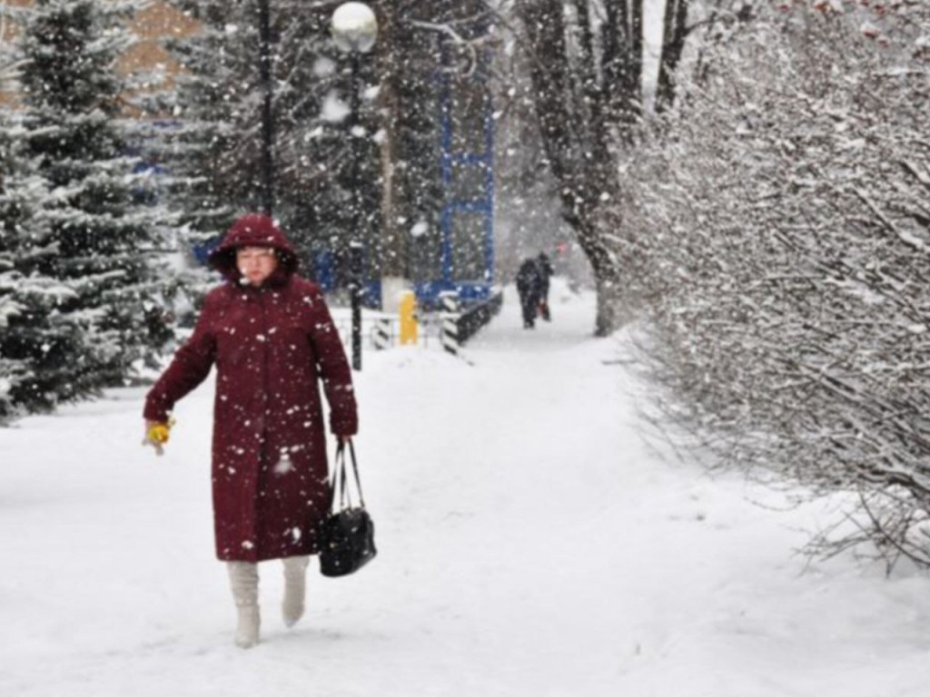 Снегопад, которого не было 70 лет, обрушился на Подмосковье! Снежный плен и лютая стужа накрыли регион