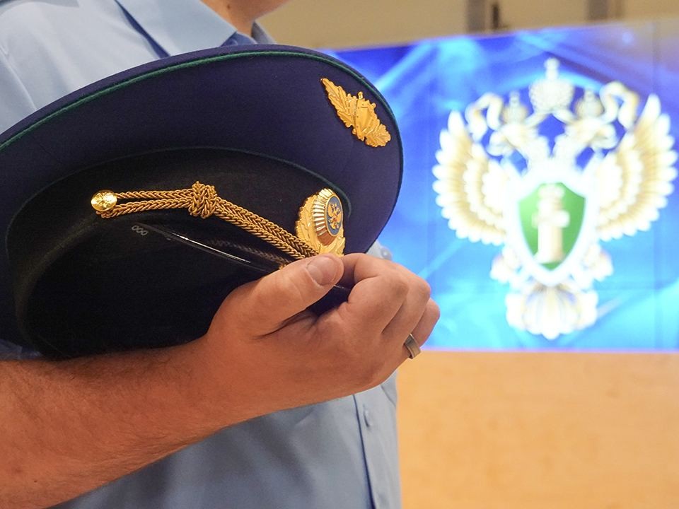 Профессионалов поздравили с Днем работников прокуратуры