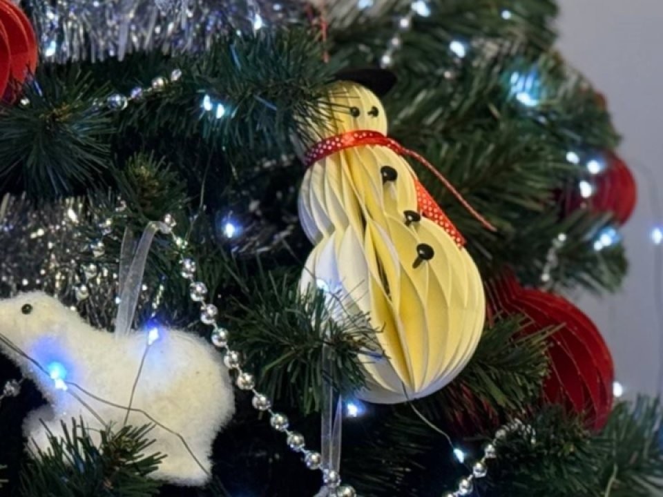 На мастер-класс, на коньки или в бассейн: куда сходить в Волоколамске 5 января