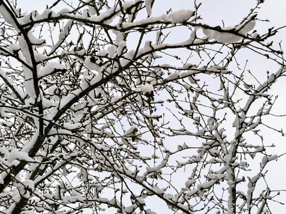 Климат сошел с ума: каждая шестая зима в Подмосковье может быть аномально теплой