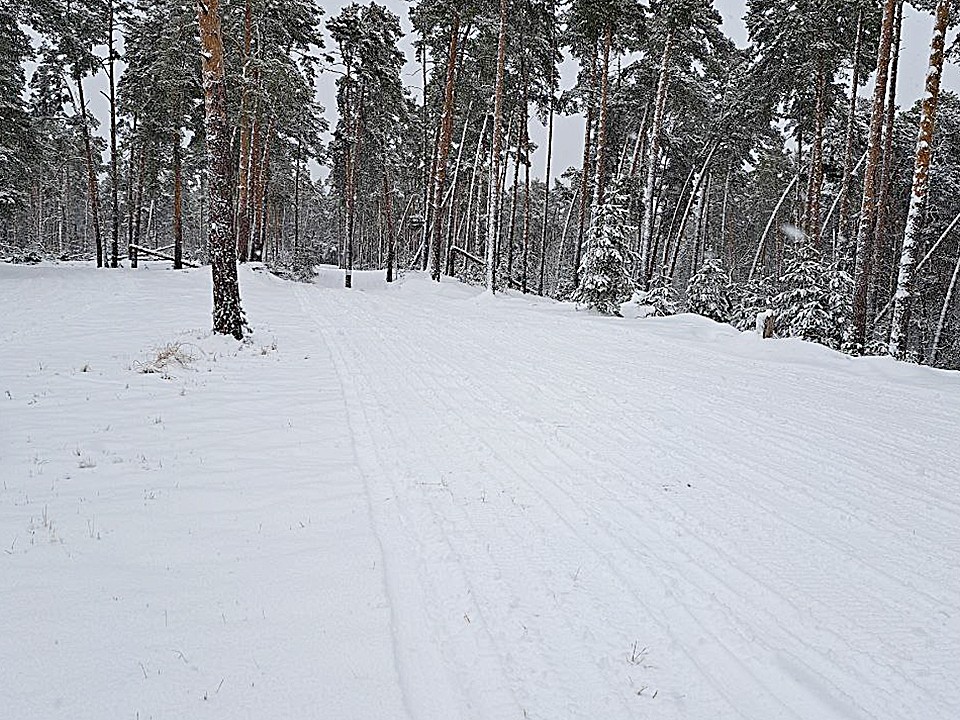 После квадроциклов: лыжная трасса в Соколовой Пустыни требует ремонта перед соревнованиями