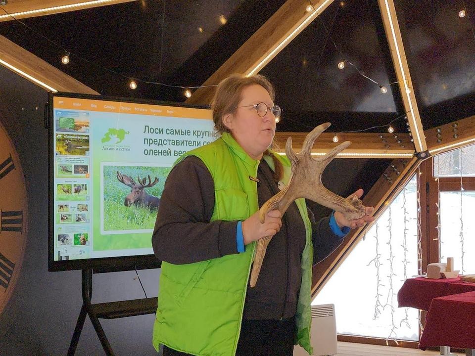 Экологи Лосиной биостанции рассказали столичным школьникам, что можно подарить лосю на праздник