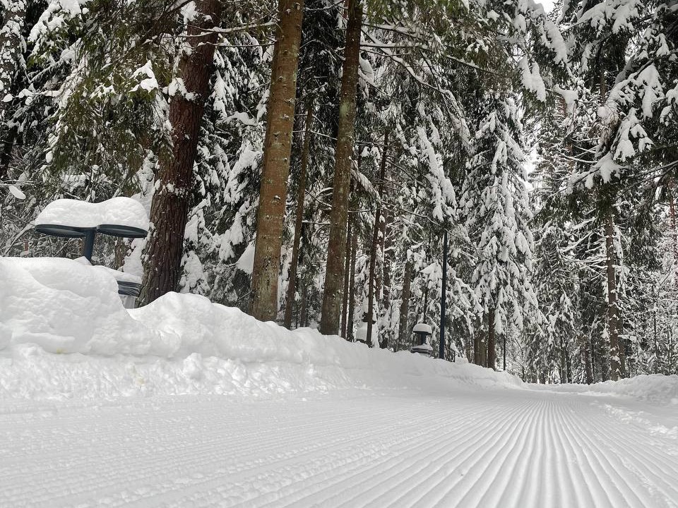 Парк Малевича предлагает лыжные трассы для классики и конька
