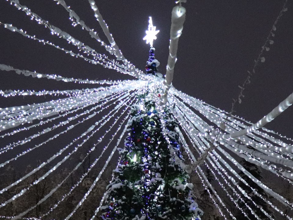 Новая светодиодная елка может украсить «Городок» будущей зимой