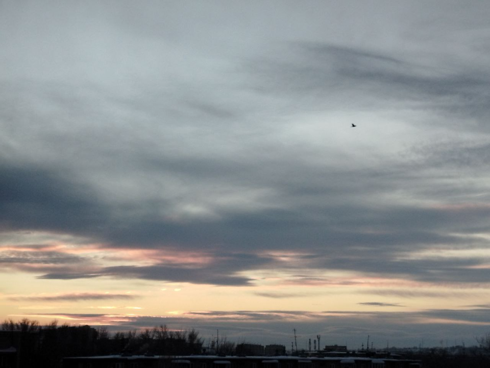 Ждать ли магнитную бурю 12 января 2026? Прогноз ученых на вторую половину месяца