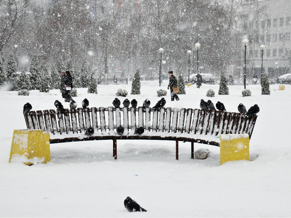 Выходные с рекордным давлением: чего ждать от погоды в Подмосковье 17-18 января?