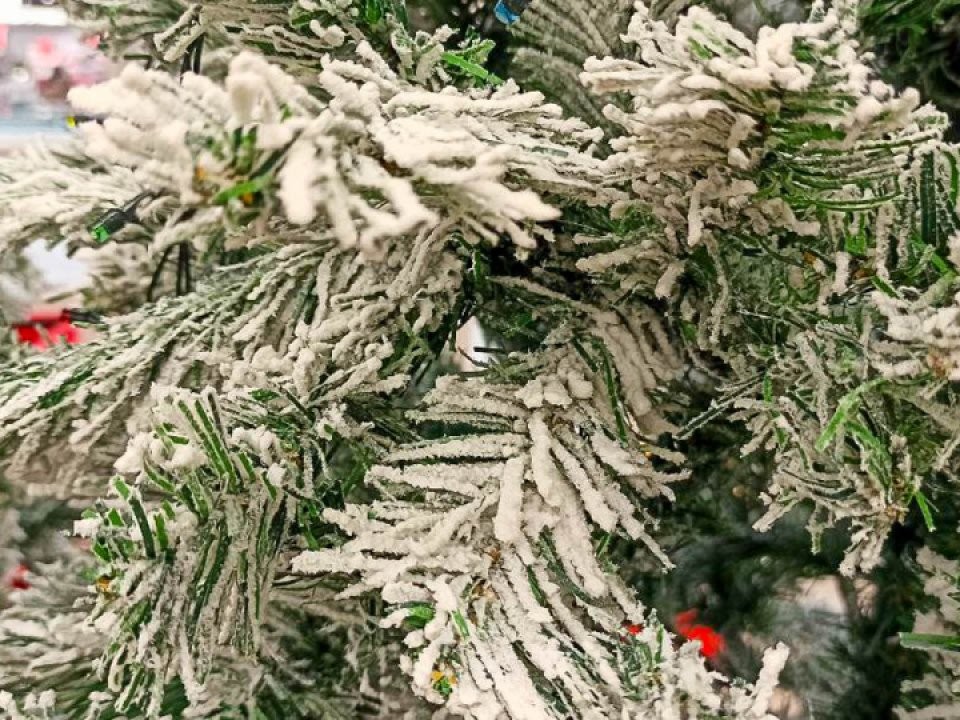 В Одинцовском округе стартует акция «Сдай елку на переработку»