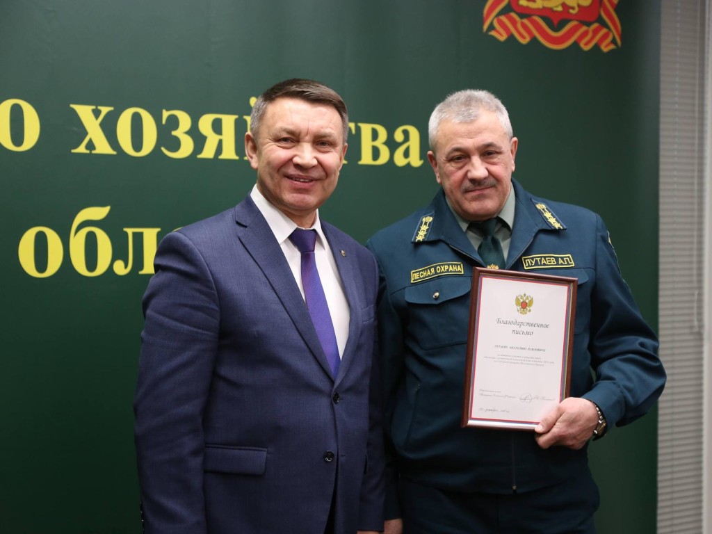 Подмосковье наградили за главную елку страны: как выбирали зеленую красавицу и сколько было претенденток