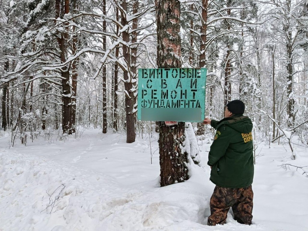 Лес — не доска объявлений: сколько стоит реклама на деревьях в Подмосковье
