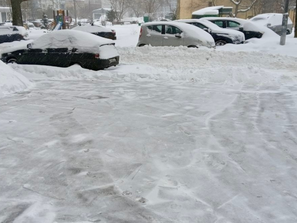 Жители Химок вышли на субботник и помогли расчистить двор на улице Панфилова