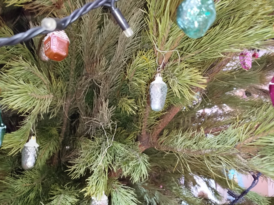 Куда сдать живую елку на переработку в Люберцах: адреса пунктов приема