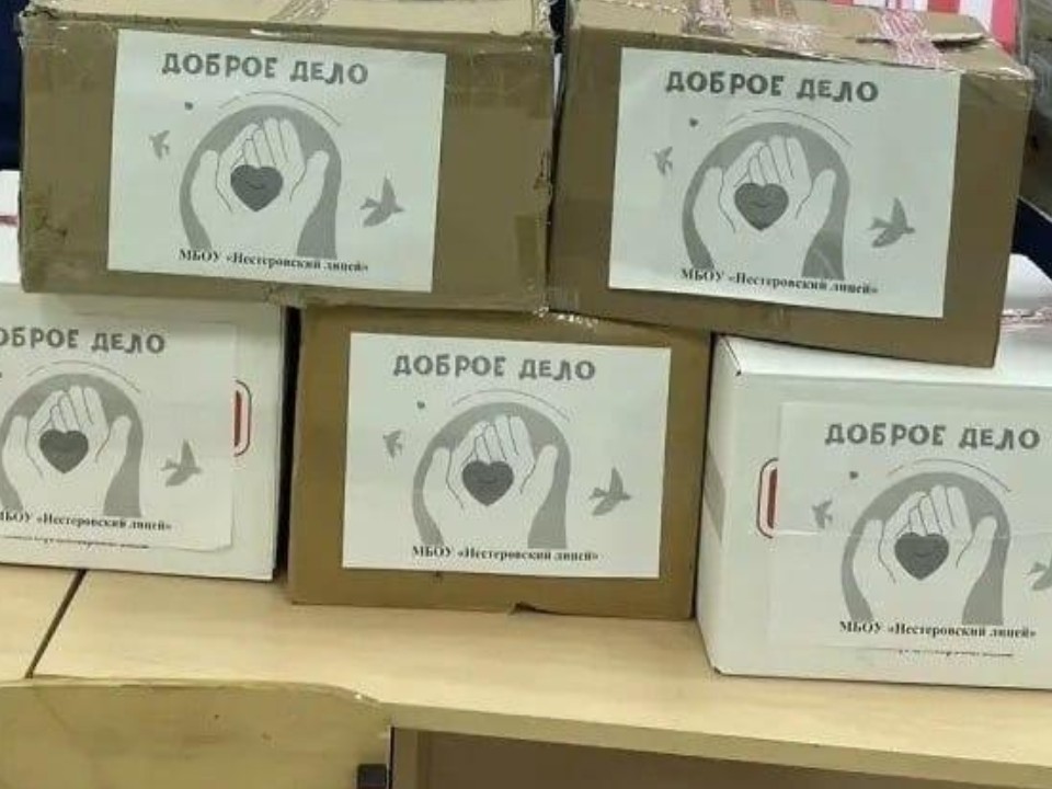 Помощь от подрастающего поколения: школьники из Рузы плетут масксети и делают окопные свечи для солдат