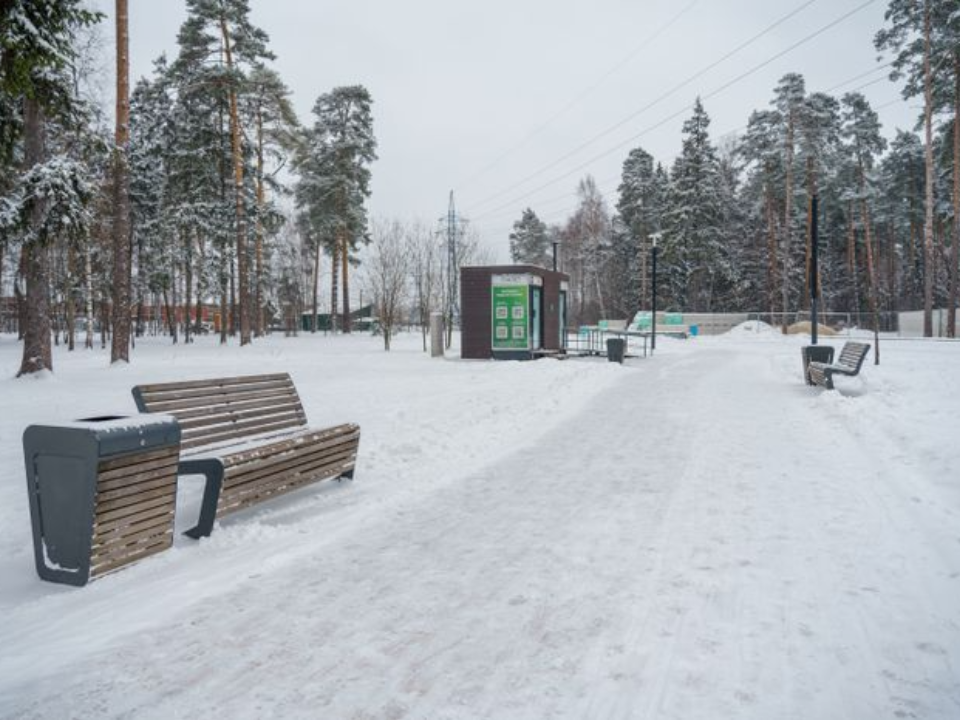 Лесопарк Балашихи стал точкой притяжения: каток с искусственным льдом уже посетили более 25 тыс. человек