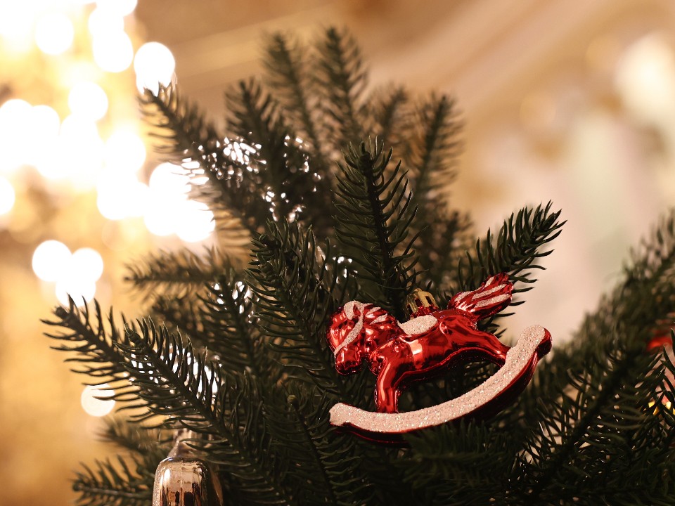 Глава округа поздравила лотошинцев с Новым годом