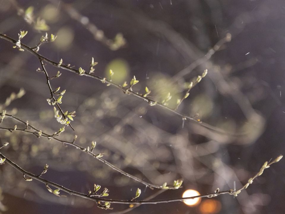 Погода на март в Подмосковье уже известна! Готовимся к слякоти