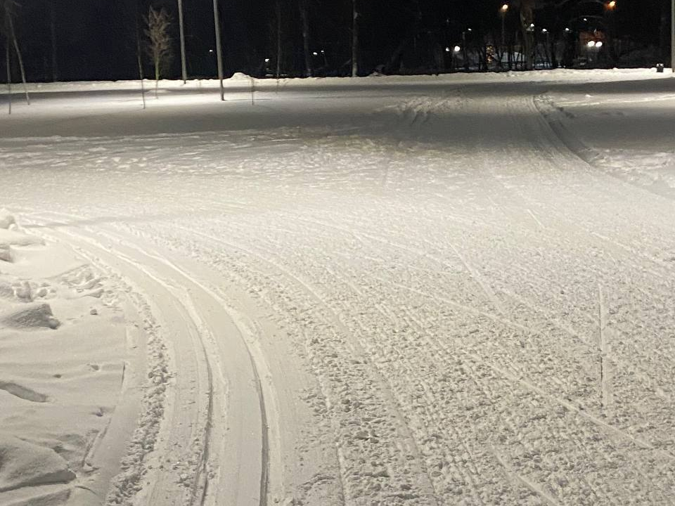 Почему жителей Можайска попросили не занимать лыжню в парке в эту субботу 24 января