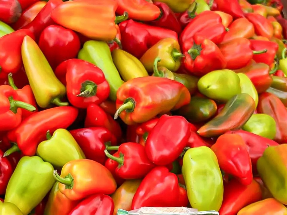 Лук, чеснок или перец? Что лучше помогает в борьбе с ОРВИ