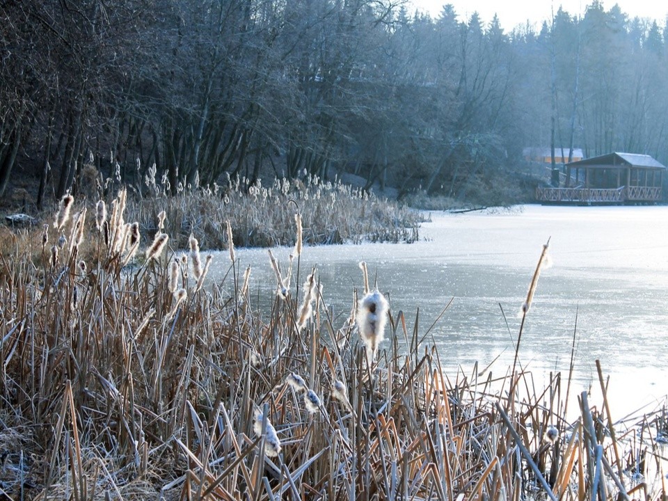Гололед и мороз до -28: какая погода ждет Подмосковье с 24 по 27 января