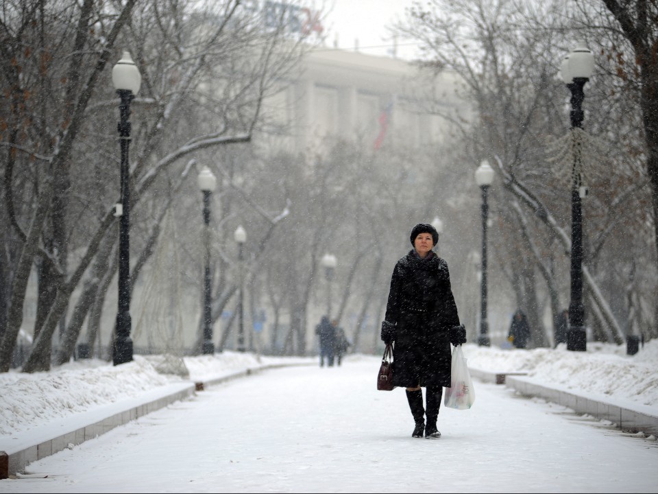 Морозы в регионе бьют по ночам: желтый уровень погодной опасности объявили в Подмосковье