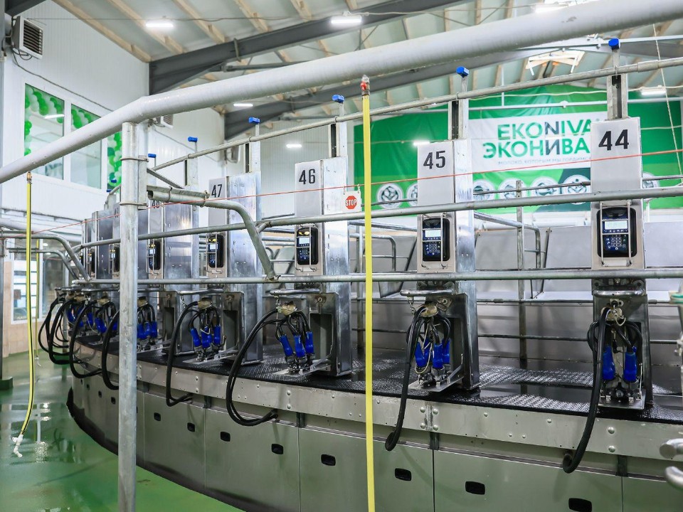 Хотите узнать, как делают ваши любимые продукты? Подмосковные предприятия раскроют секреты производства всем желающим