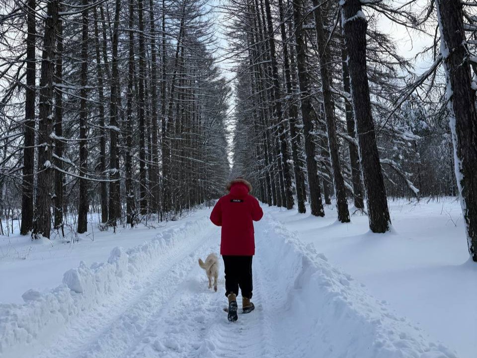 Почувствовать дух русской усадьбы: коломенцев пригласили на бесплатную экскурсию в Сенницы