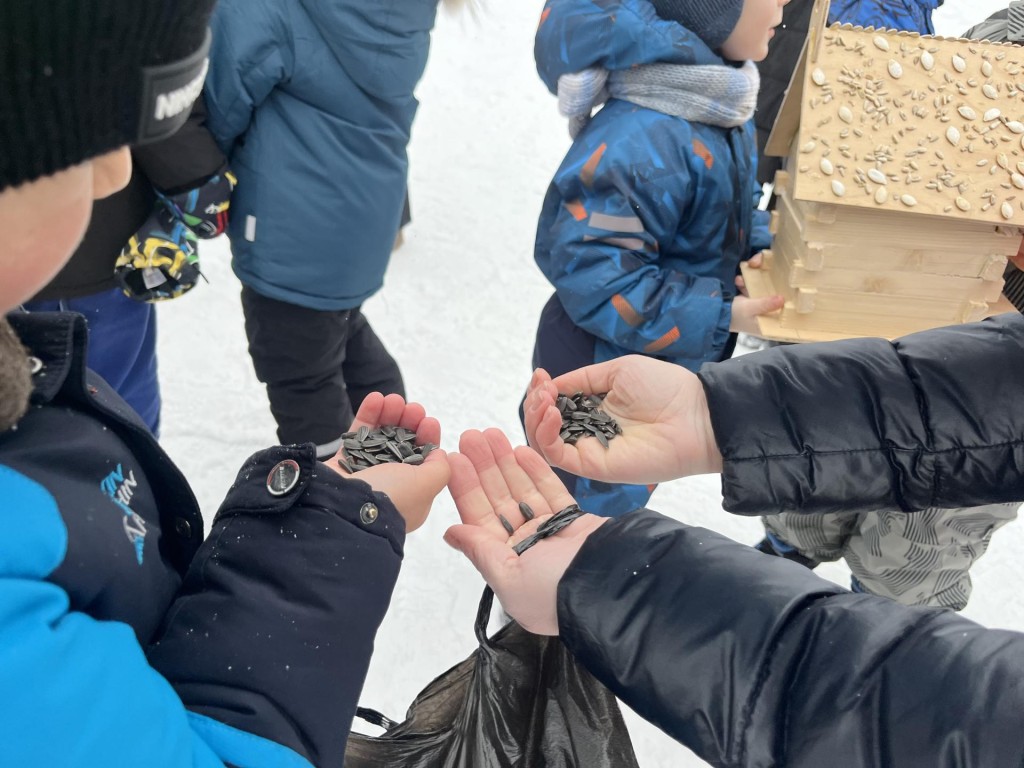 Просо, тыквенные семечки и сало — что входит в «правильное» меню для пернатых, рассказали школьники дошколятам