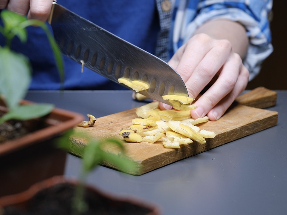 Зачем солить бананы? Неожиданный зимний рецепт против вредителей и для богатого урожая