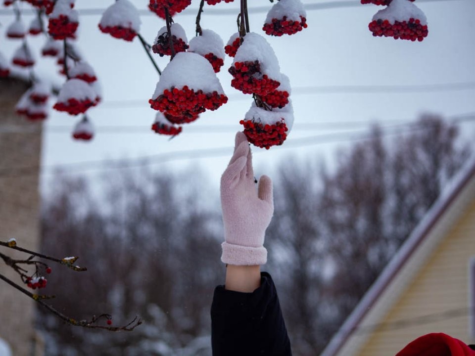 «Снег на Татьяну — лето дождливое»: рассказываем, что по народным приметам предвещает рекордный холод на Татьянин день в 2026-м