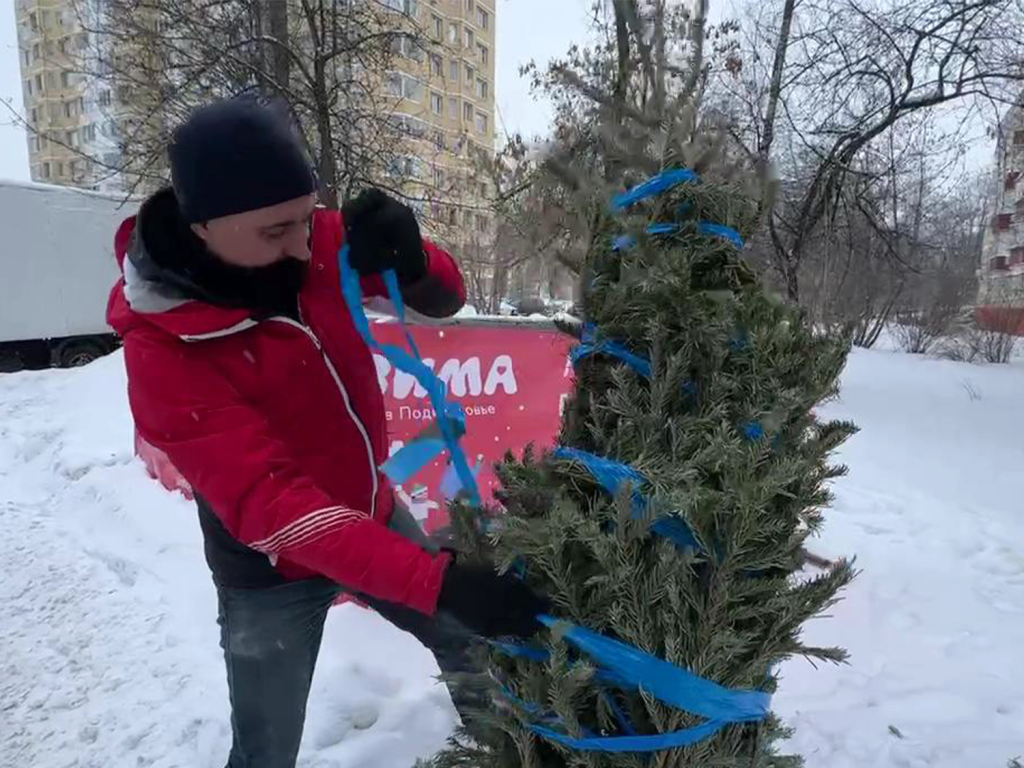 Пункт приема елок открыли в Зарайске на площадке «Мегабак» на Московской