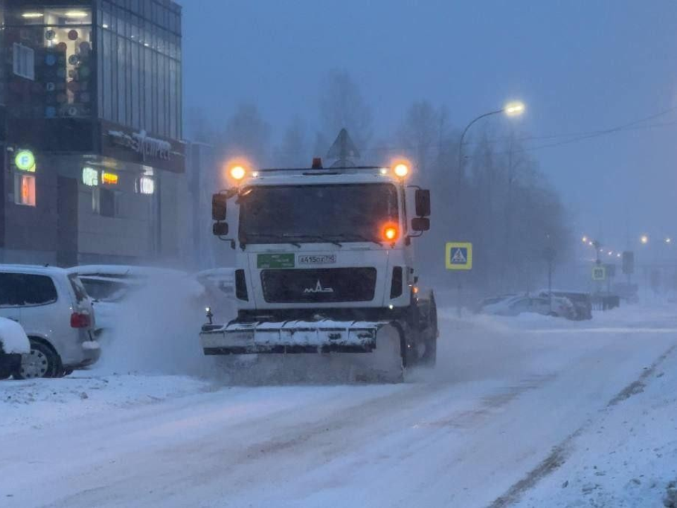Дубна утопает в снегу: справится ли город с циклоном «Фрэнсис»?