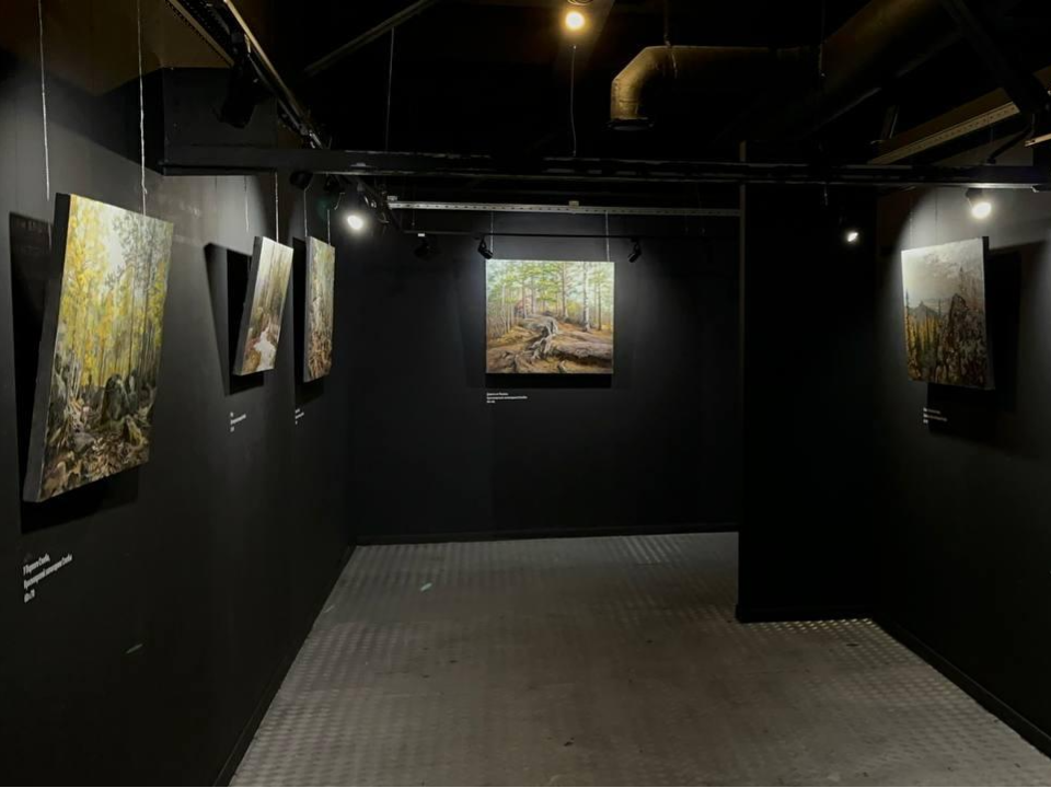 Пейзажи Сибири и Подмосковья представлены на новой выставке в Молодежном центре «Победа»