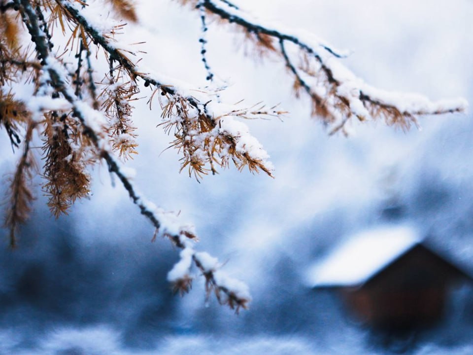 Готовьтесь к аномальным морозам: синоптик назвала дату, когда температура опустится до -20 градусов