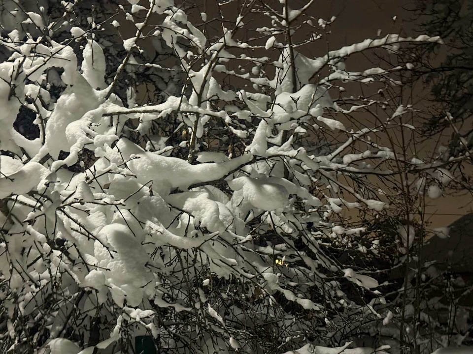 В Подмосковье идут рекордные морозы: температура упадет на 12 градусов ниже нормы