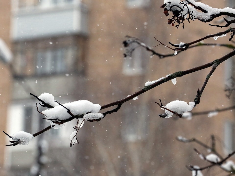 В Мытищи снова придут морозы: на регион надвигается новый циклон
