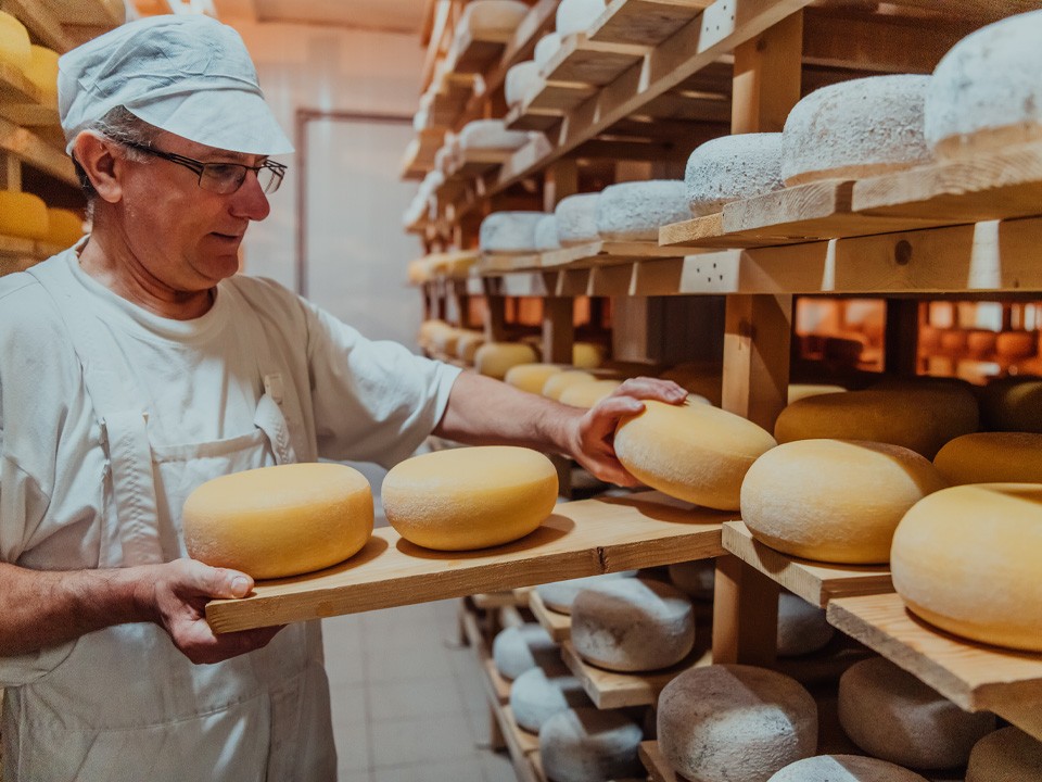 Вкусное Подмосковье: какие сыры делают в столичном регионе и чем они лучше импортных