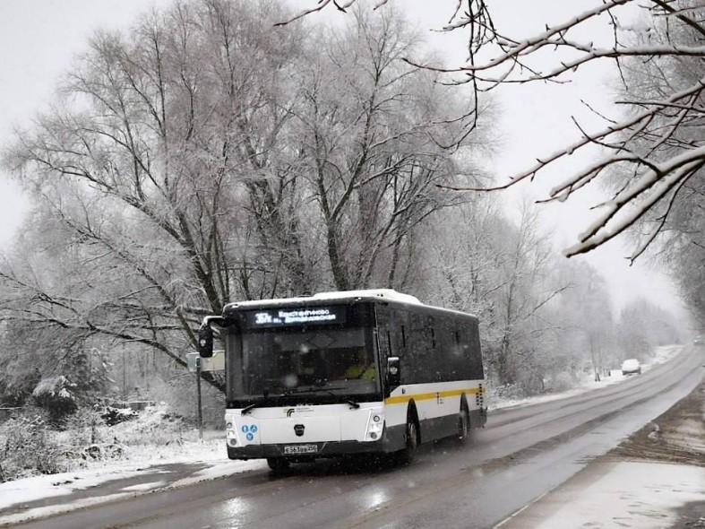 В транспорте яблоку негде упасть: за праздники автобусы и электрички Подмосковья перевезли рекордное число пассажиров