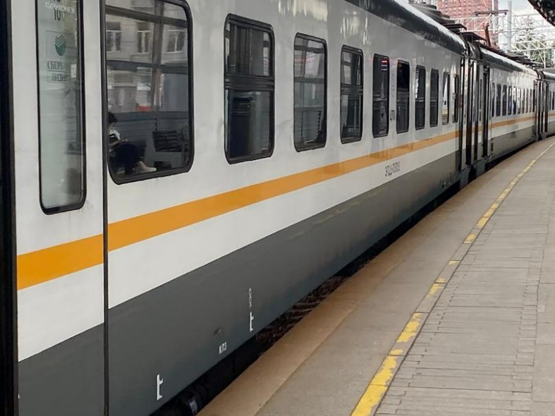 Сбой устранили, но задержки остаются: что происходит с электричками на Белорусском направлении