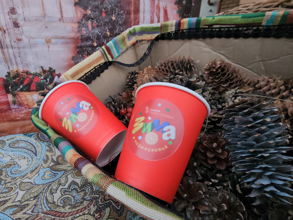 Экшен выходные в Можайске: куда сходить всей семьей 17 января