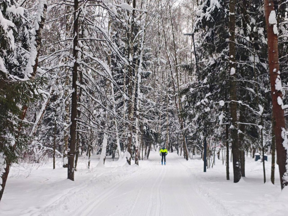 Три маршрута и прокат: парки Балашихи приглашают на лыжню