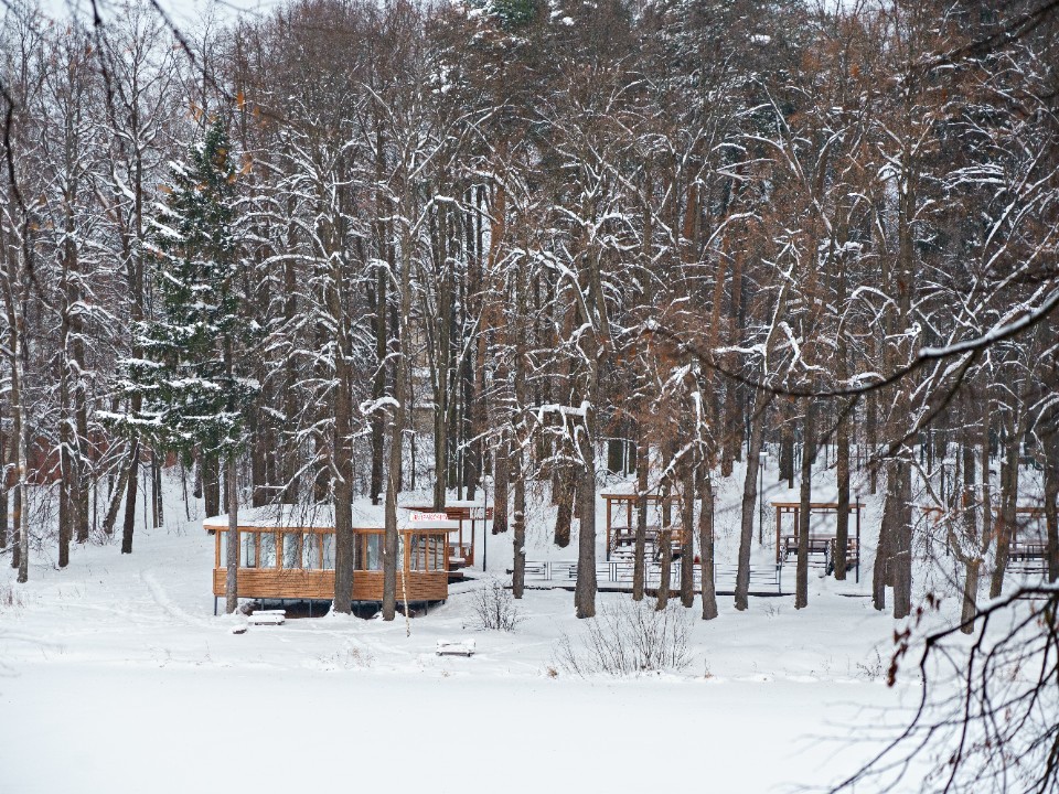 Погода на 17 января в Подмосковье: морозы отступают или берут короткий перерыв?