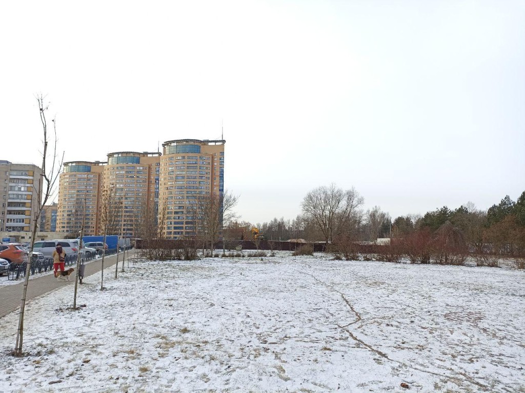 Создадим уютное пространство: какой сквер ждет Дубну в 2026 году