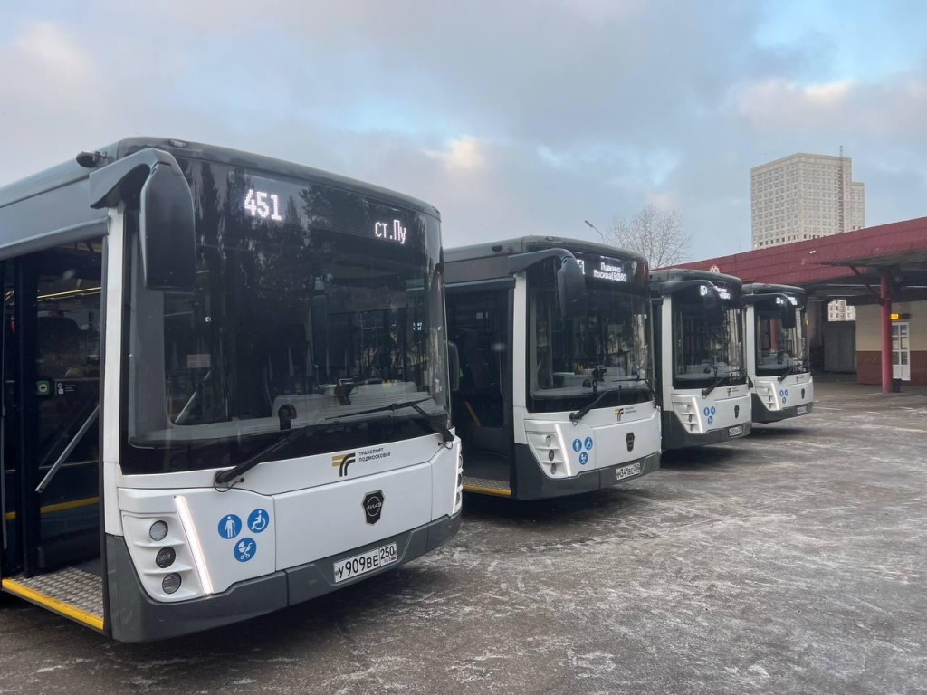 Крещенская ночь в Подмосковье: как будут работать автобусы и список маршрутов к храмам и купелям