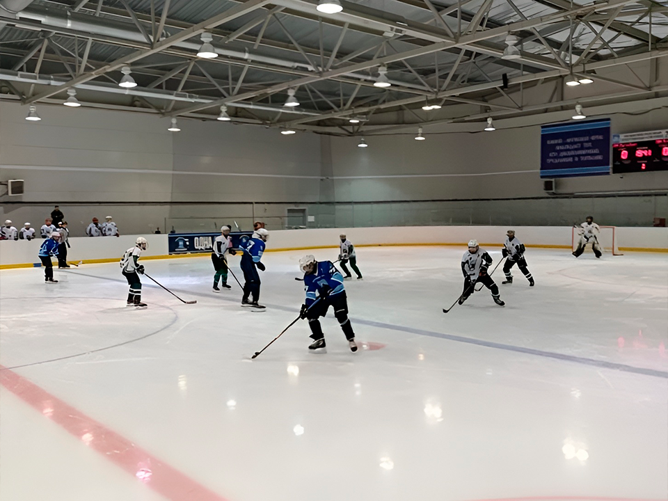 Зарайские хоккеисты выиграли три из пяти последних матчей на областном турнире