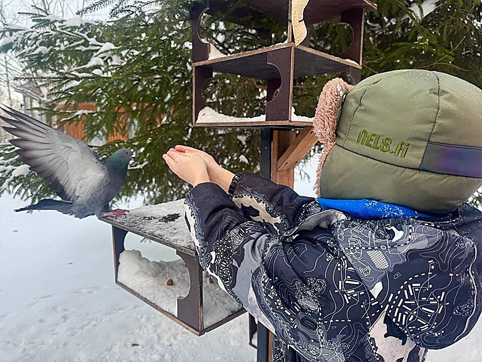 Птичий фуршет: как в Ступине спасают синиц от мороза