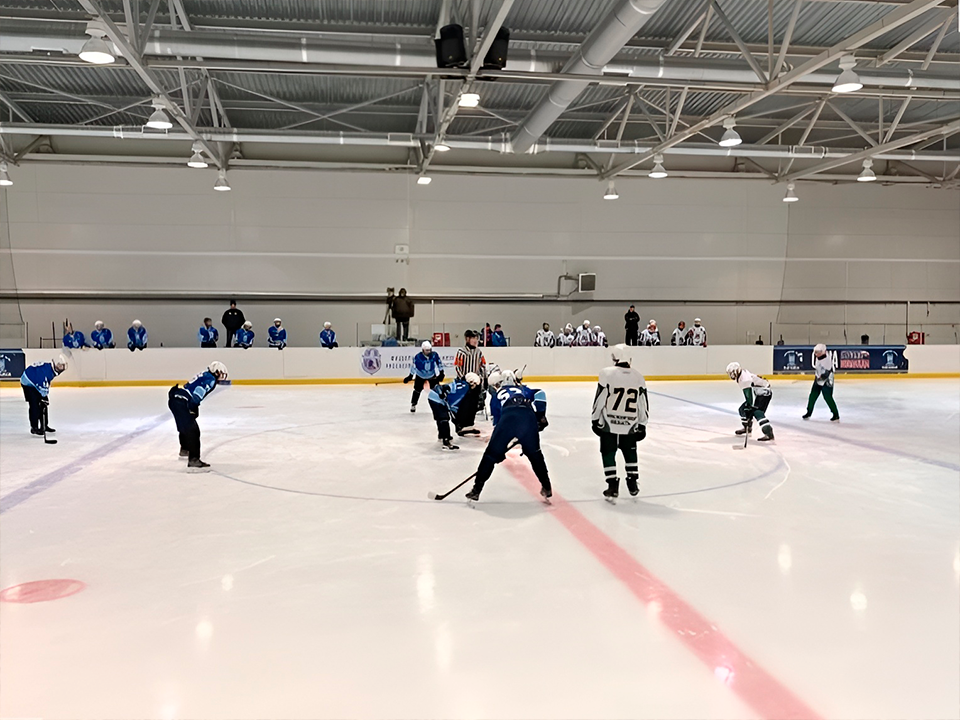 Два хоккейных матча пройдут в Зарайске 17 января