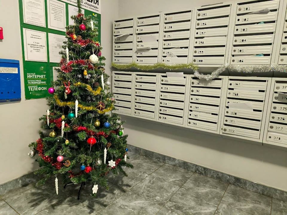 Выбрасывать нельзя переработать: как утилизировать новогоднюю елку без вреда для природы